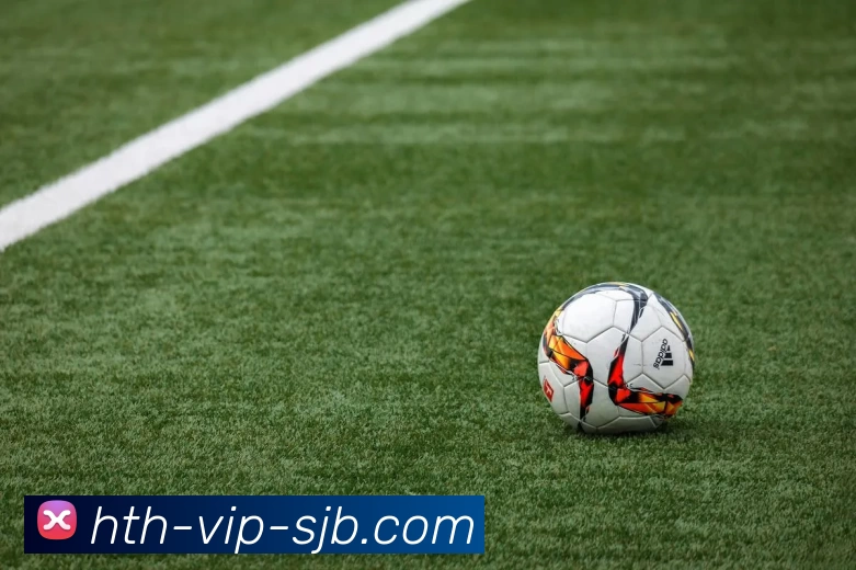 华体会 VIP，华体会 VIP，华体会官网，华体会APP，华体会高级会员平台生态图